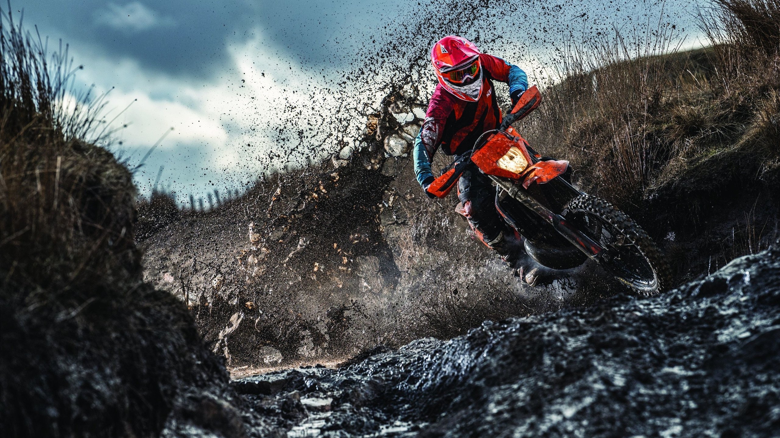 开云体育中国官网-当赛道与球场交汇，F1年度争冠的数学游戏与灰熊的生存几何学